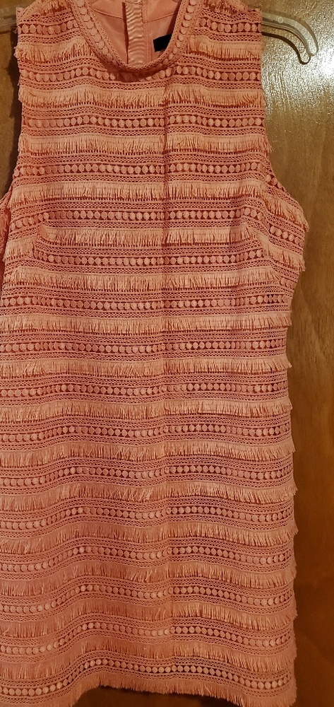 Jcrew Dress